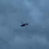 İstanbul’da Dhkp-c’ye Helikopter Destekli Şafak Operasyonu İstanbul’da Dhkp-c’ye Helikopter Destekli Şafak Operasyonu