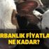 Kurbanlık fiyatları kaç TL? BİM, A101, Migros, Carrefoursa kurbanlık fiyatları belli oldu mu?