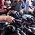 Çin'in Guangdong eyaleti, vahşi hayvan eti yiyenlere para cezası verecek Çin'in Guangdong eyaleti, vahşi hayvan eti yiyenlere para cezası verecek