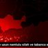 Mardin de uzun namlulu silah ve tabanca ele geçirildi