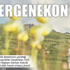 İşte Ergenekon İşte Ergenekon