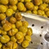 Yeşil zeytin ihracatı düştü Yeşil zeytin ihracatı düştü