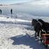 Doğu Anadolu'nun en büyük ikinci gölü dondu