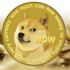 Elon Musk'tan takipçilerine Dogecoin sorusu: Dogecoin ile ödeme olsun mu? Elon Musk'tan takipçilerine Dogecoin sorusu: Dogecoin ile ödeme olsun mu?