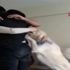 Köpeğine deodorant sıkıp, görüntü paylaşan üniversiteli gence tepki