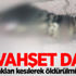 Bir vahşet daha! Ayakları kesilerek öldürülmüş...