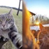 "Köpeklerin efendisi" internette fenomen oldu