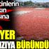 En çok acı tüketilen kentlerin başında gelen Şanlıurfa'da 'acı' mesaisi başladı!