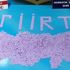 Siirt’te 4 bin 250 adet Extacy ele geçirildi Siirt’te 4 bin 250 adet Extacy ele geçirildi