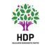 İşte HDP'nin merak edilen aday listesi