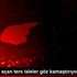 Ovacık ta açan ters laleler göz kamaştırıyor