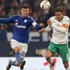 Werder can havli ile Schalke'ye patladı