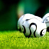 Süper Lig'de 34. hafta programı açıklandı