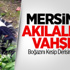 Mersin'de Akılalmaz Vahşet!