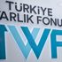 Fon şirketlere değer katıyor Fon şirketlere değer katıyor