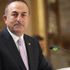 Bakan Çavuşoğlu: Fransa o acıyı unutamadı Bakan Çavuşoğlu: Fransa o acıyı unutamadı