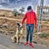 Çoban köpeklerini sıpaya saldırtan genç serbest kaldı