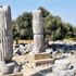 Teos'ta büyük kazılar başladı