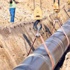 Irak'la yeni gaz hattı Irak'la yeni gaz hattı