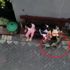 Son dakika: Akılalmaz görüntüler! Bisikletiyle gelen maymun çocuk kaçırmaya çalıştı |Video