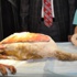 Yaralı flamingoya tıbbi müdahale Yaralı flamingoya tıbbi müdahale