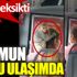 Maymun toplu ulaşımda. Bir bu eksikti Maymun toplu ulaşımda. Bir bu eksikti
