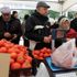 Samsun'da 7 tanzim satış noktası açıldı Samsun'da 7 tanzim satış noktası açıldı