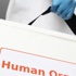 O operasyonların gizli kahramanları