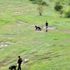 Zonguldak'ta 'drone'lu, köpekli uyuşturucu araması Zonguldak'ta 'drone'lu, köpekli uyuşturucu araması