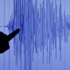 AMASYA'DA KORKUTAN DEPREM !