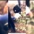 Gıda fiyatlarındaki artış enflasyon rakamlarını ikiye katladı