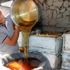 Bitlis te bal hasadı Bitlis te bal hasadı