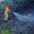 Çorum’da orman yangını; 2 hektar alan kül oldu