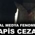 Erkek çocukları öpüştüren fenomene 17 yıl hapis cezası