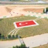 Intercity Park, Rallikross'a hazır Intercity Park, Rallikross'a hazır