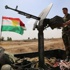 Kobani'de peşmerge kalmadı