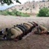 Bu fotoğraf Twitter'ı salladı Bu fotoğraf Twitter'ı salladı