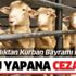 Bakanlık uyardı! Kurban Bayramı'nda bunu yapana ceza