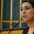 Yüksekdağ': Ülkeye el koymak için yasa hazırlıyorlar