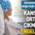 Yağlı karaciğer kanser eder! İşte korunmanın yolları