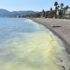 Marmaris’te denizin kıyısı sarıya boyadı Marmaris’te denizin kıyısı sarıya boyadı