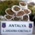 Antalya'da 500 polisli operasyon!