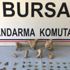 Bursa'da 3 yolcunun bavulundan tarihi eserler çıktı Bursa'da 3 yolcunun bavulundan tarihi eserler çıktı