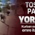 Pendik'ten Sultanbeyli'ye tosun 'Paşa'nın peşinde koşturdular