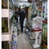 Pet Shop Denetimleri Pet Shop Denetimleri