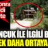 ﻿Tosuncuk ile ilgili bir gerçek daha ortaya çıktı