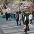 Japonya’da Covid-19 alarmı: Özel tedbirler uygulanacak