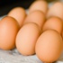 Tavuk yumurtası üretiminde azalma