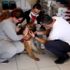Serik te yaralı bulunan sokak köpeği sahiplendirildi