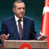 Erdoğan'dan Suruç ve Ceylanpınar açıklaması Erdoğan'dan Suruç ve Ceylanpınar açıklaması
